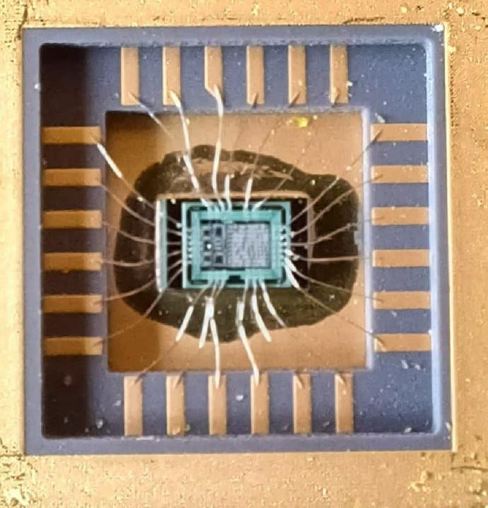 Foto del secondo prototipo microchip neurale 1996